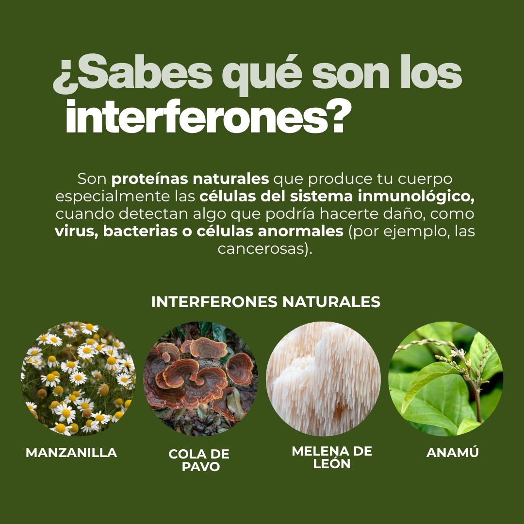 Cápsulas duras NATURACURE® Anamú CJA/FCO. DE 120