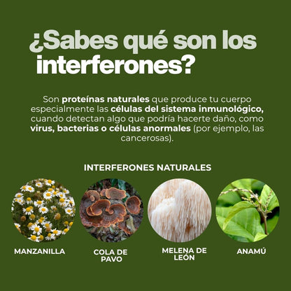 Cápsulas duras NATURACURE® Anamú CJA/FCO. DE 120
