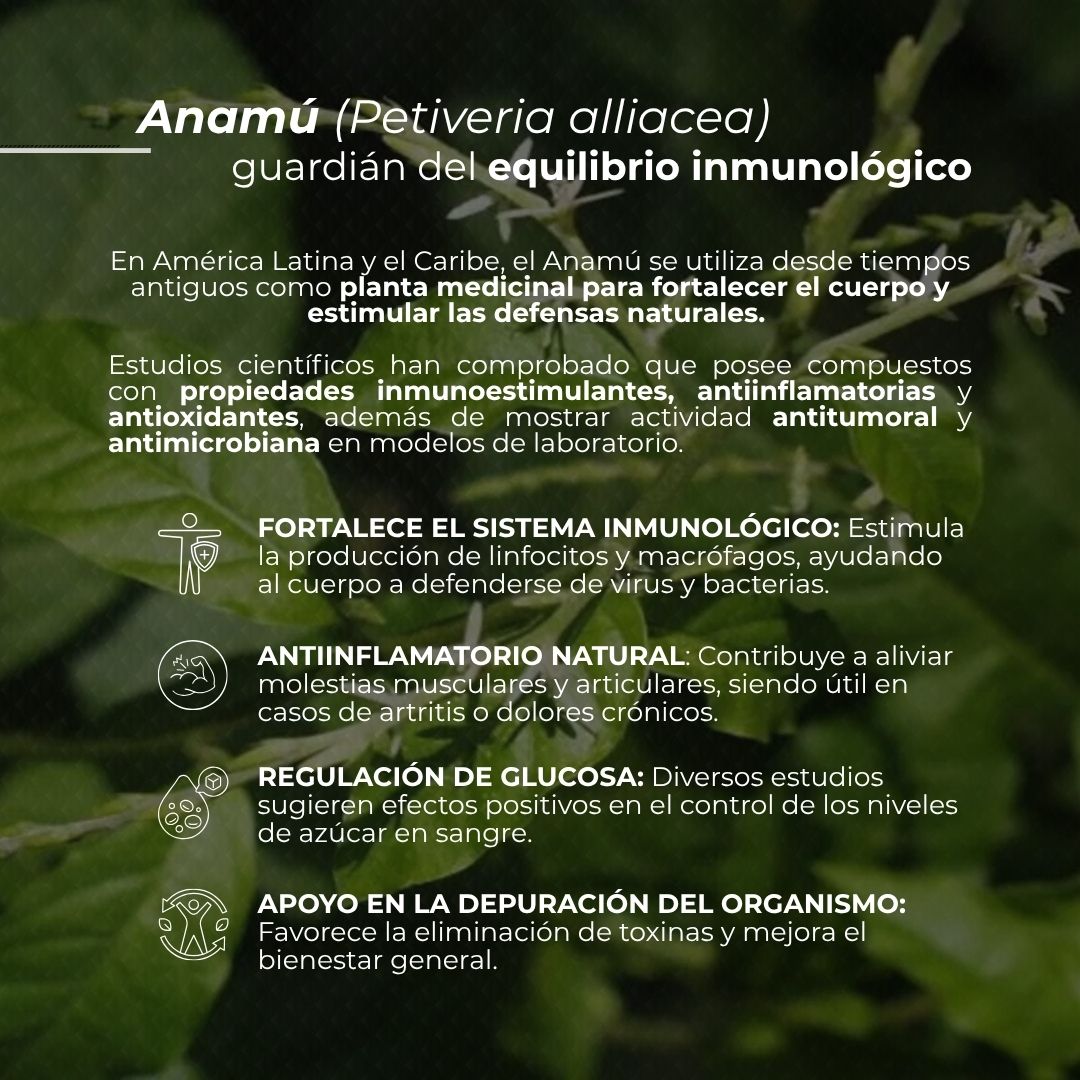 Cápsulas duras NATURACURE® Anamú CJA/FCO. DE 120
