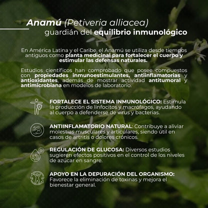 Cápsulas duras NATURACURE® Anamú CJA/FCO. DE 120