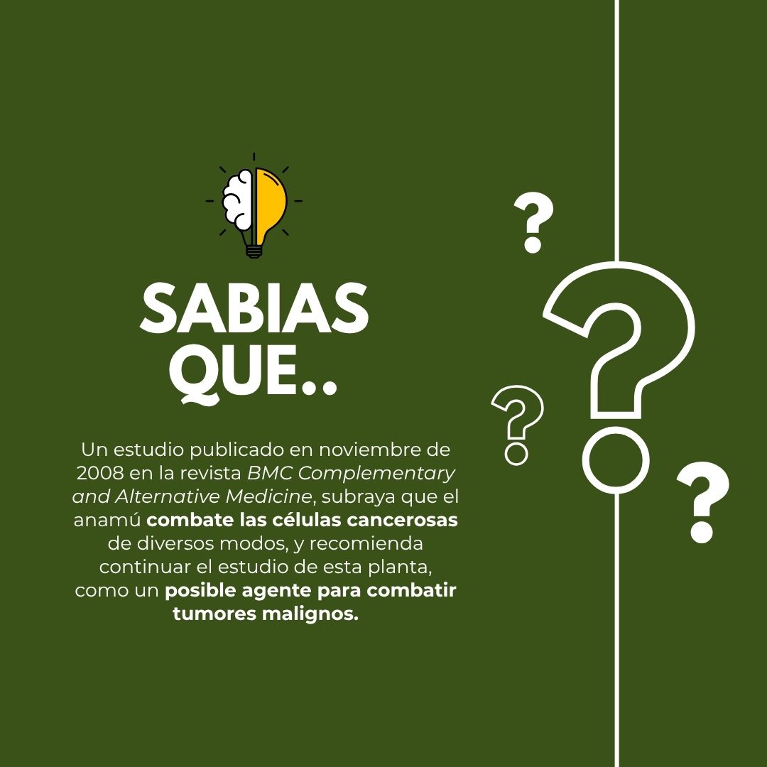 Cápsulas duras NATURACURE® Anamú CJA/FCO. DE 120