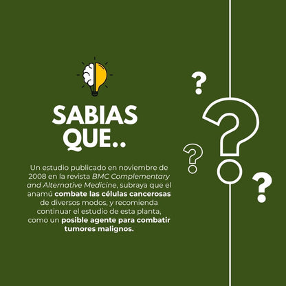 Cápsulas duras NATURACURE® Anamú CJA/FCO. DE 120