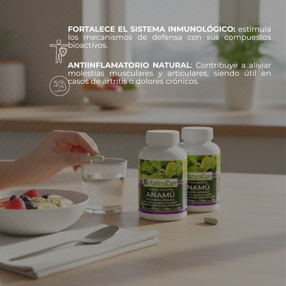 Cápsulas duras NATURACURE® Anamú CJA/FCO. DE 120