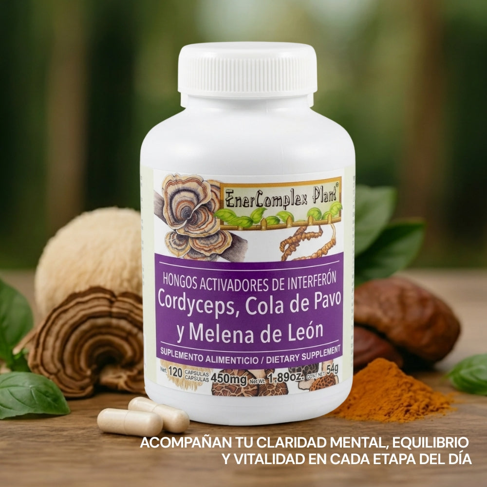 Cápsulas duras ENERCOMPLEX PLANT® Cordyceps, cola de pavo y melena de león CJA/FCO. DE 120