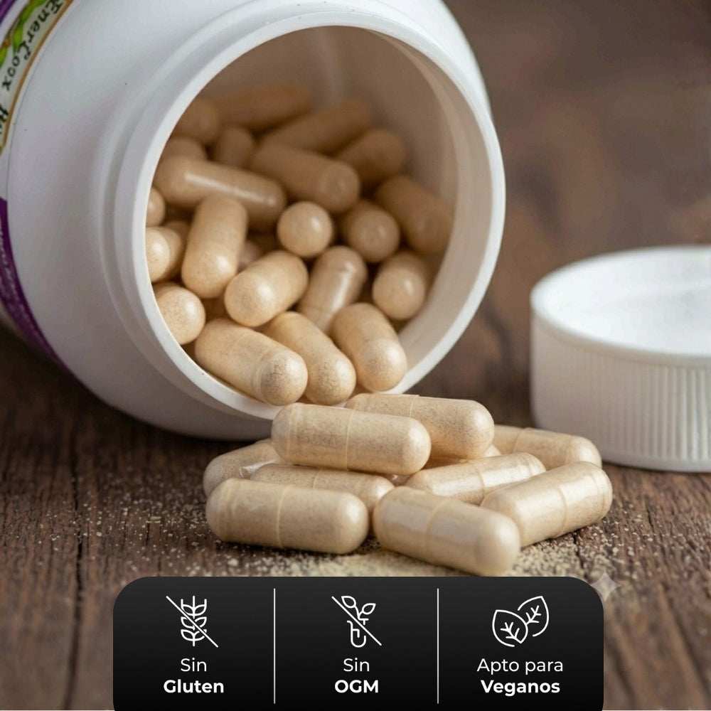 Cápsulas duras ENERCOMPLEX PLANT® Cordyceps, cola de pavo y melena de león CJA/FCO. DE 120