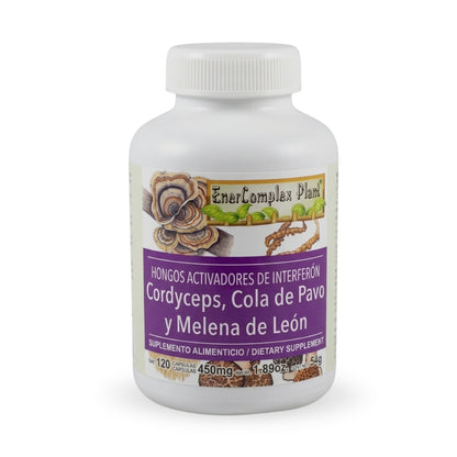 Cápsulas duras ENERCOMPLEX PLANT® Cordyceps, cola de pavo y melena de león CJA/FCO. DE 120