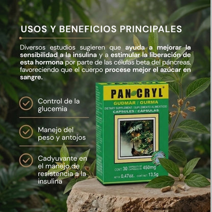 Cápsulas duras PANCRYL® Gurma CJA. BL. 3x10