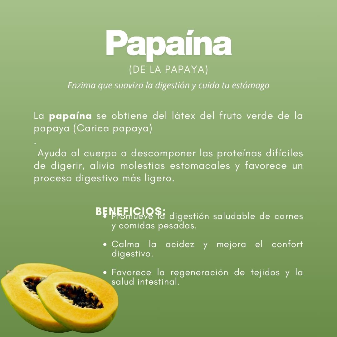 Polvo para preparar ENZIMOTERAPIA® Enzimas y lactobasilos FCO. DE 150g