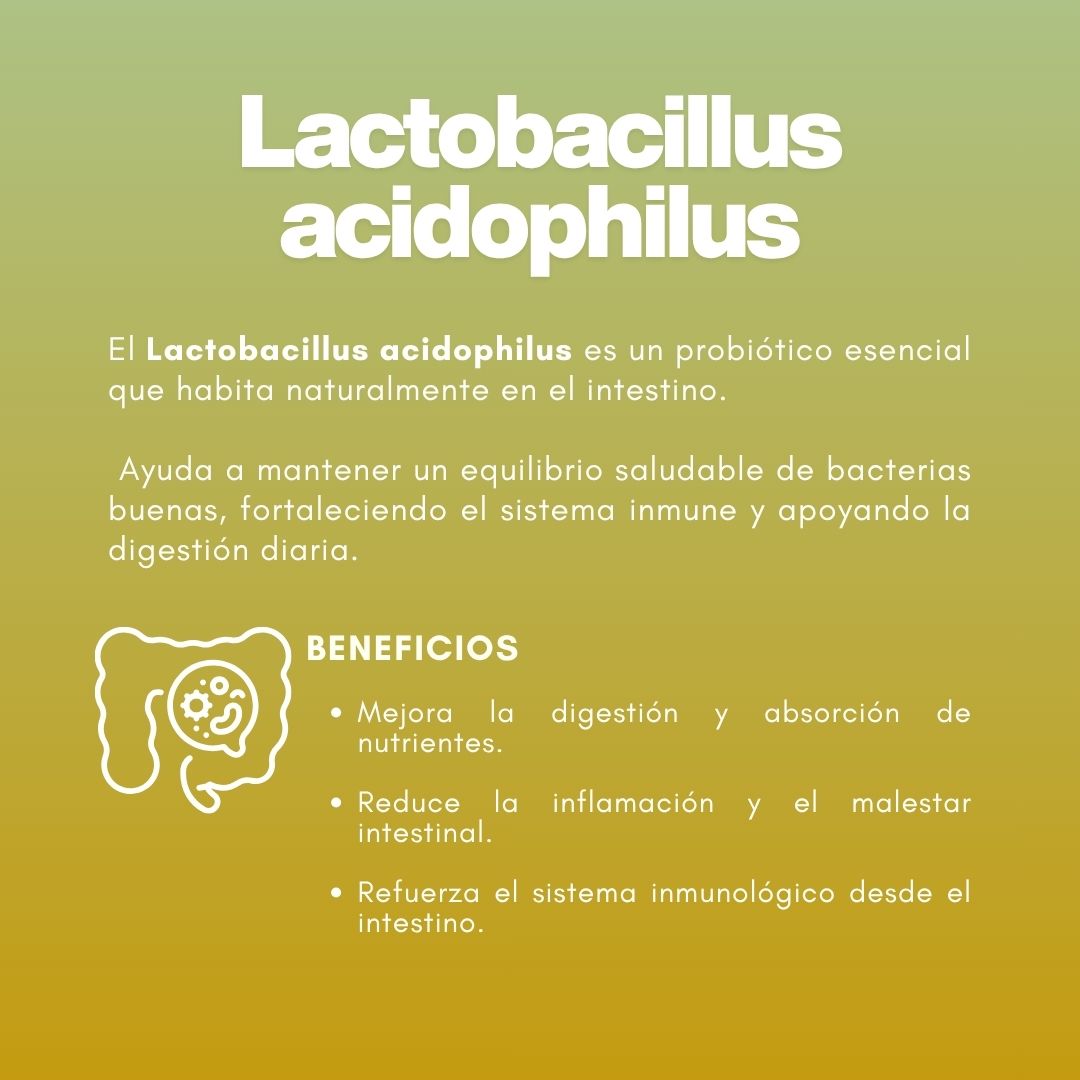 Polvo para preparar ENZIMOTERAPIA® Enzimas y lactobasilos FCO. DE 150g