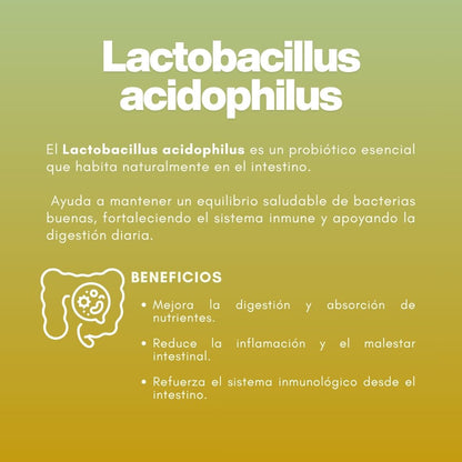 Polvo para preparar ENZIMOTERAPIA® Enzimas y lactobasilos FCO. DE 150g