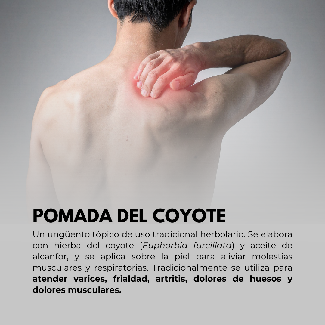 Pomada BIOCOYOTE FUERTE® ocote, alcanfor y  hierba del coyote POM. DE 120g