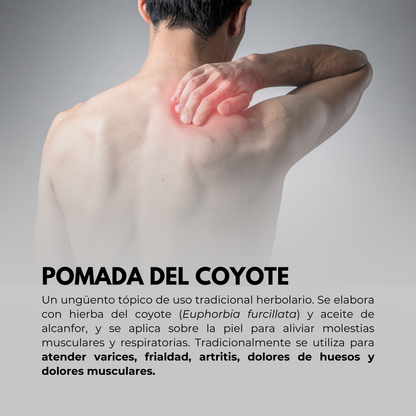 Pomada BIOCOYOTE FUERTE® ocote, alcanfor y  hierba del coyote POM. DE 120g